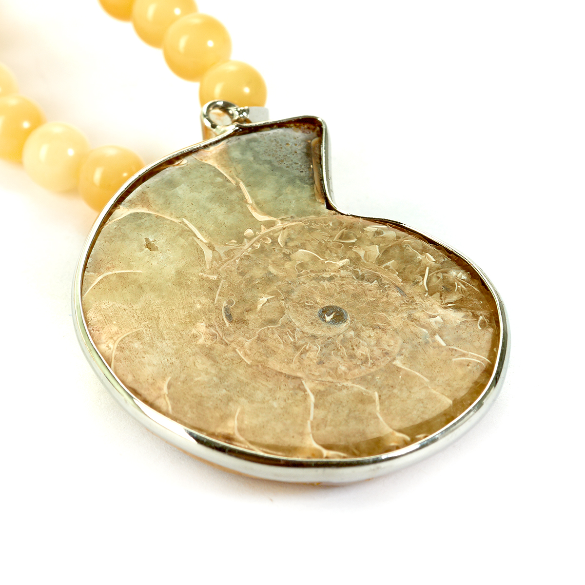 7317057701_3